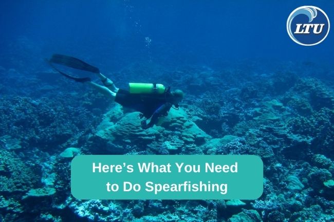 Here’s What You Need to Do Spearfishing
